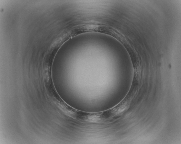 X0000076230462200609281117