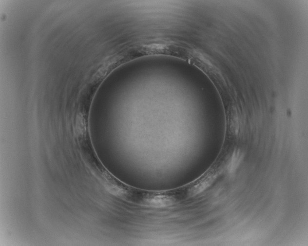 X0000076230467200609281117