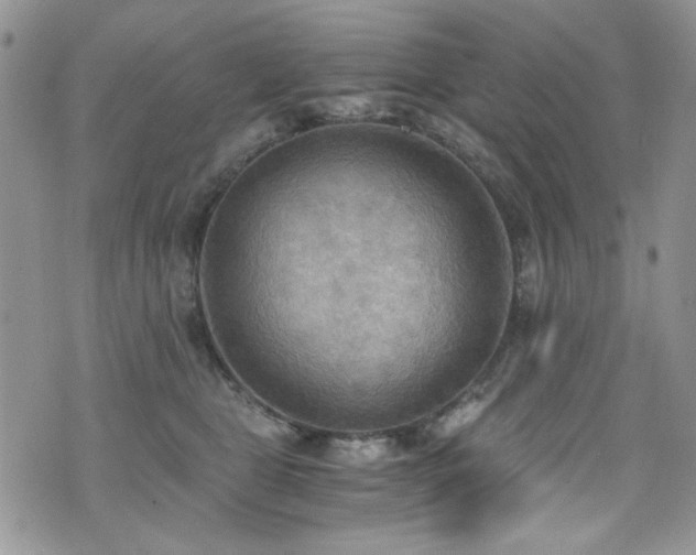 X0000076230469200609281117