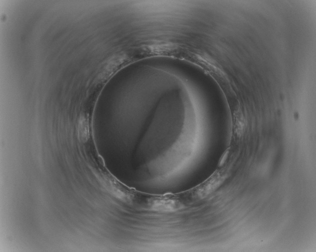 X0000076230471200609281117