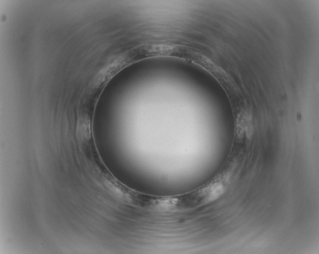 X0000076230474200609281117