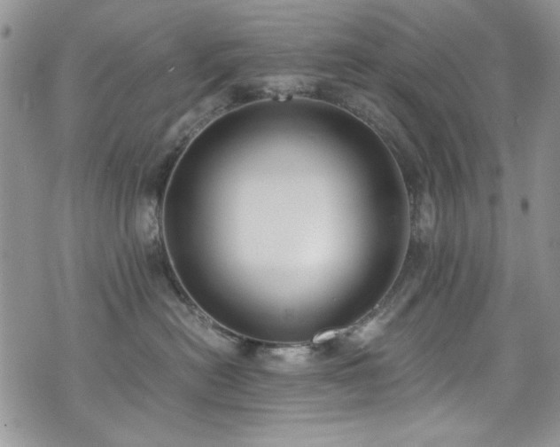 X0000076230478200609281117