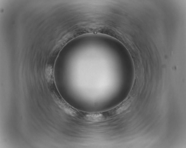 X0000076230480200609281117