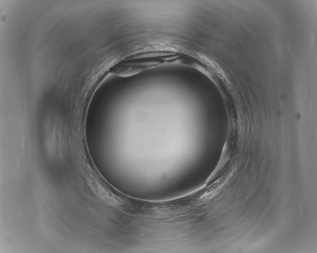 X0000076230481200609281116