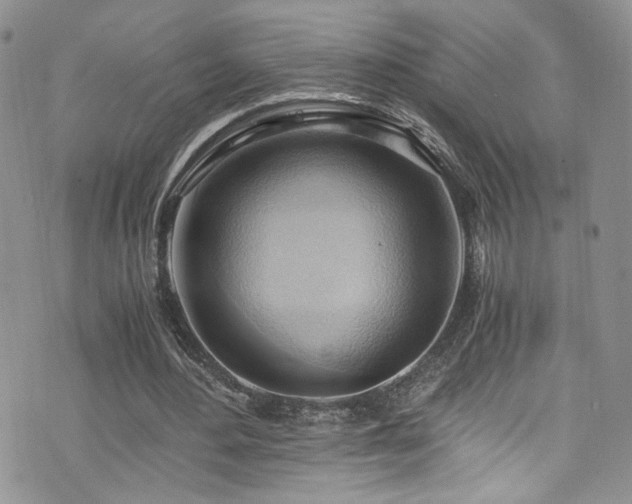 X0000076230484200609281116