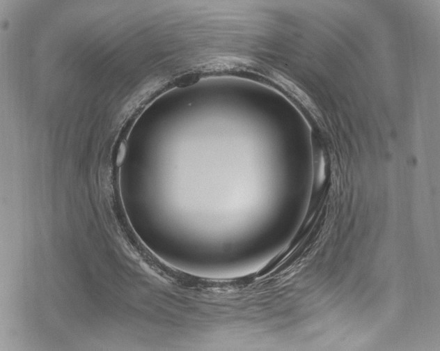 X0000076230485200609281116