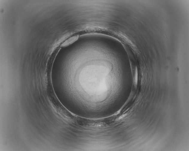 X0000076230488200609281116