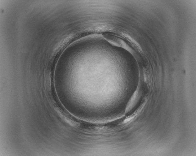 X0000076230493200609281116