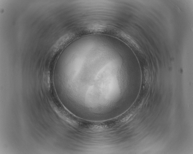 X0000076230494200609281116