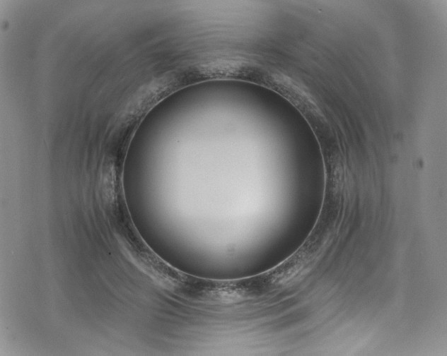 X0000076230498200609281116