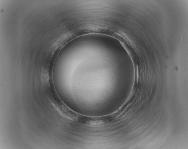 X0000076230500200609281116