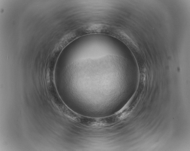 X0000076230504200609281116