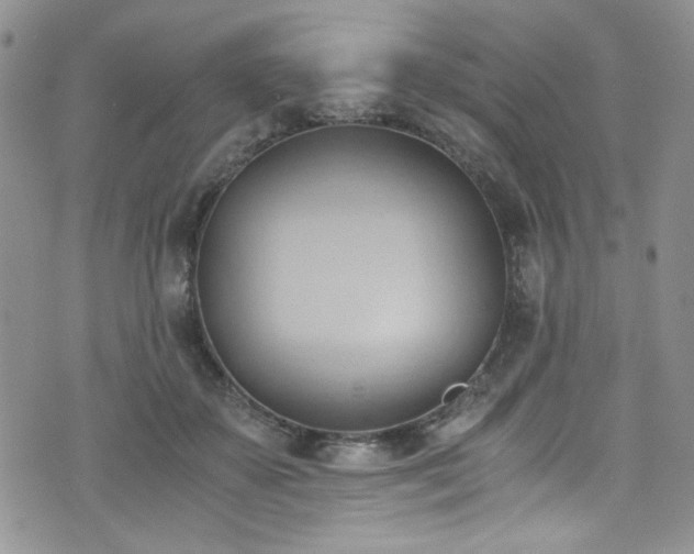 X0000076230507200609281116