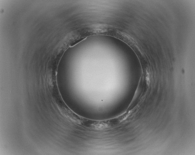 X0000076230512200609281116