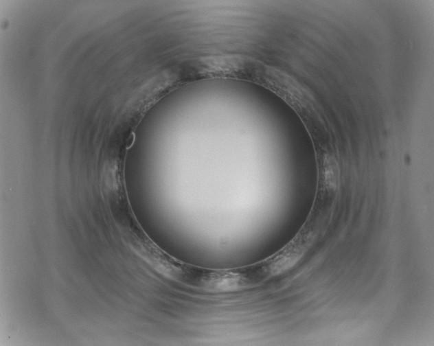 X0000076230514200609281116