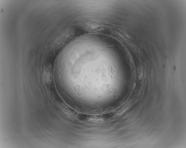 X0000076230515200609281116