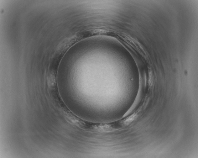 X0000076230517200609281115