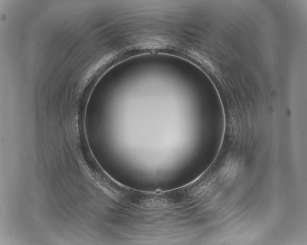 X0000076230535200609281115