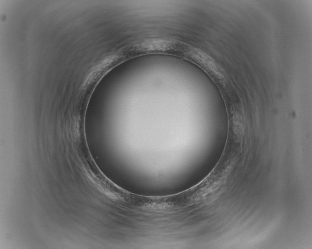 X0000076230537200609281115