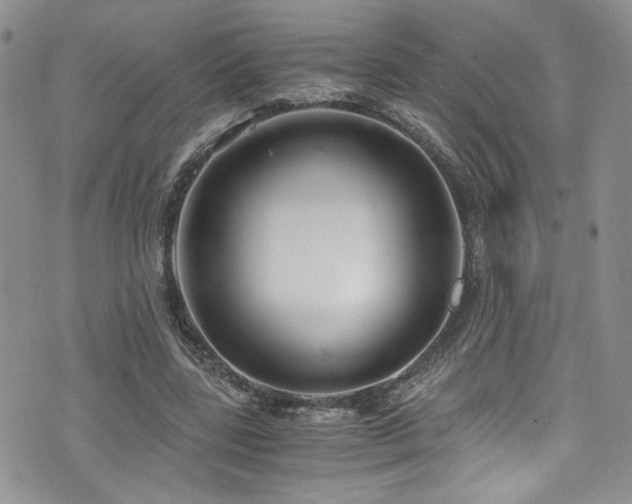 X0000076230539200609281115