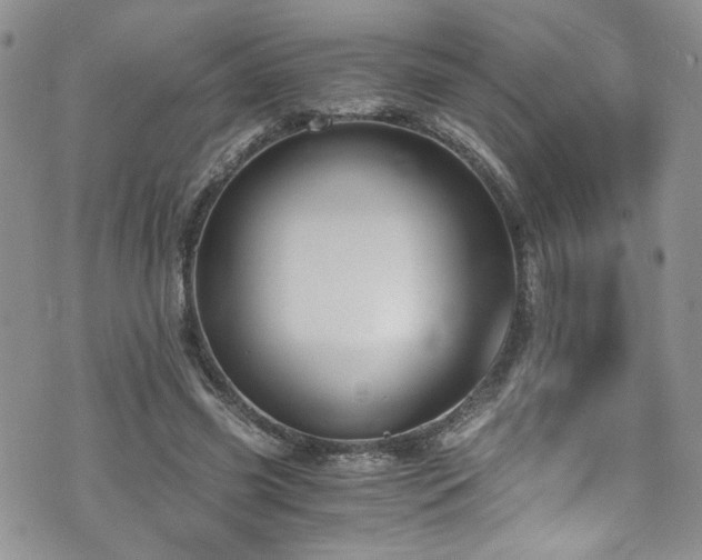 X0000076230541200609281115