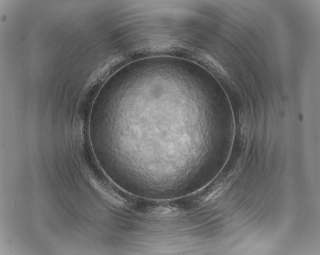 X0000076230542200609281115