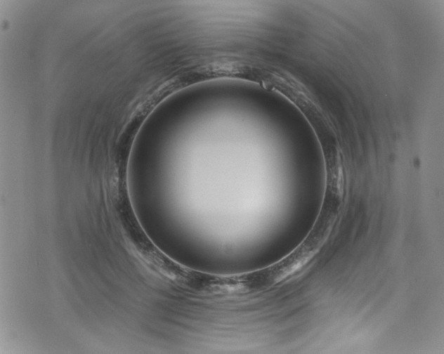 X0000076230552200609281115