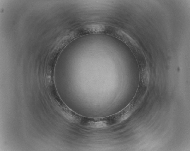 X0000076230553200609281115