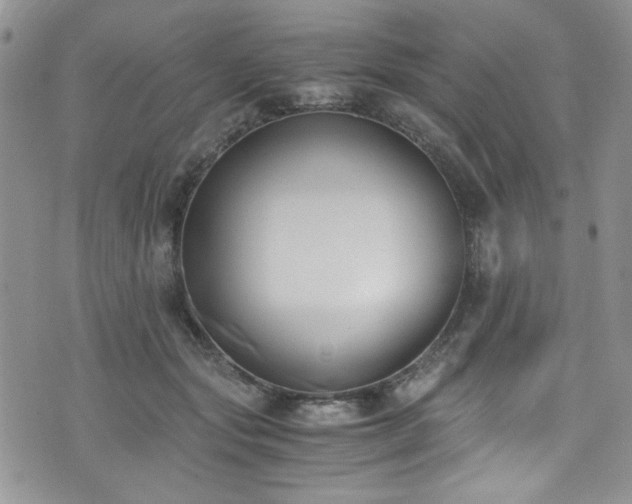 X0000076230557200609281115