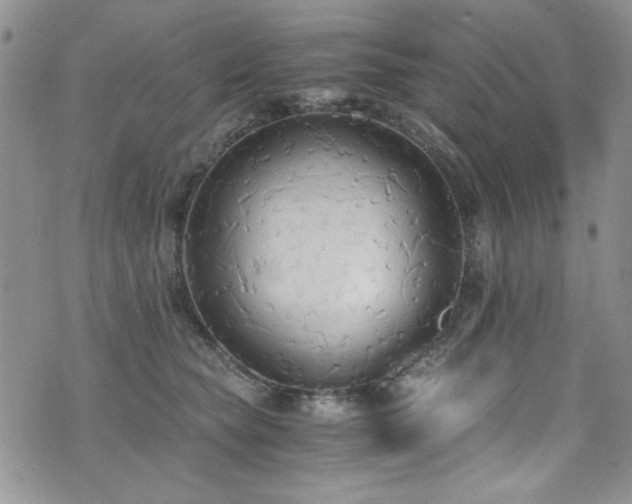 X0000076230565200609281115