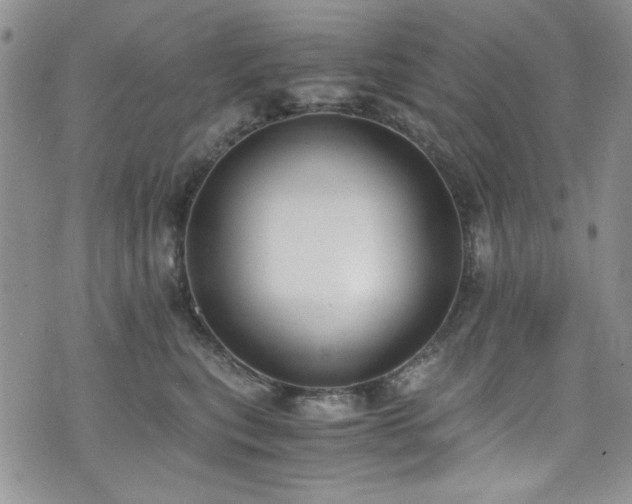 X0000076230567200609281115