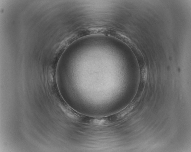 X0000076230570200609281115