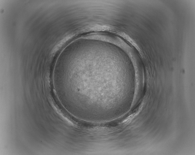 X0000076230581200609281114