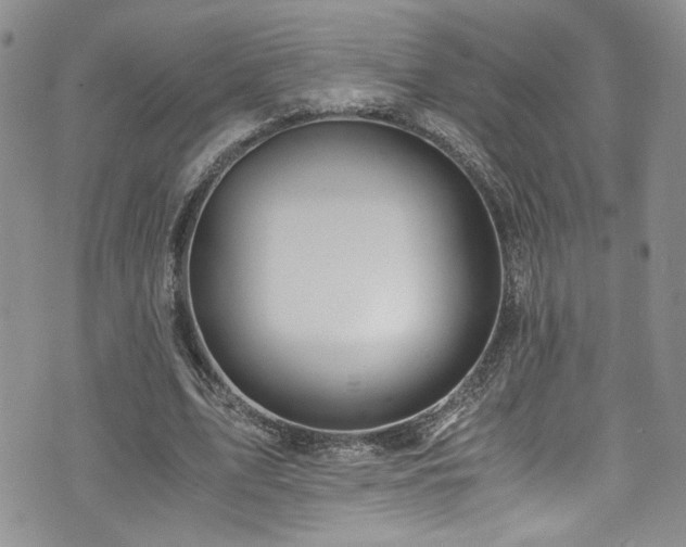 X0000076230583200609281114