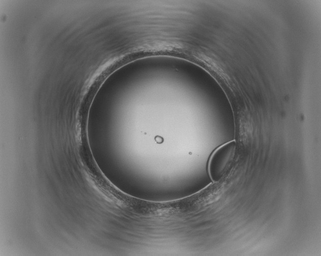 X0000076230584200609281114