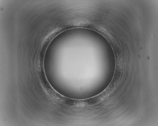 X0000076230587200609281114