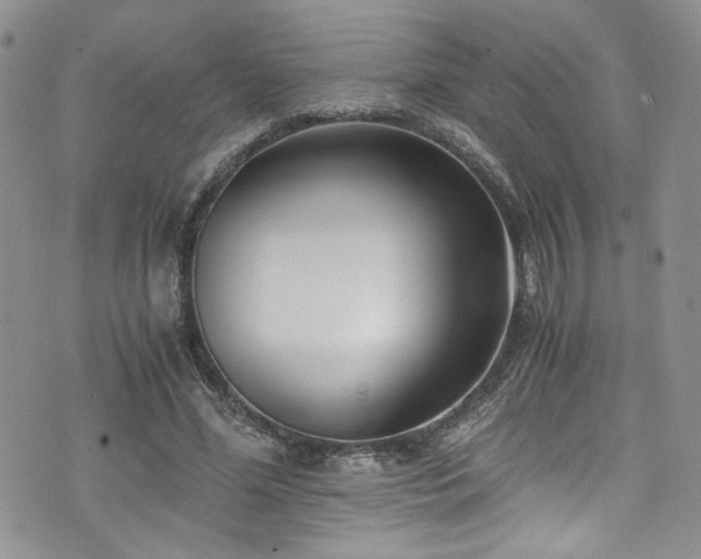 X0000076230588200609281114