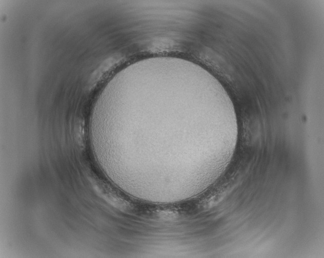 X0000076230592200609281114