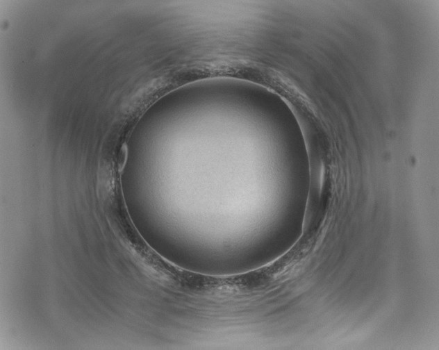 X0000076230593200609281114