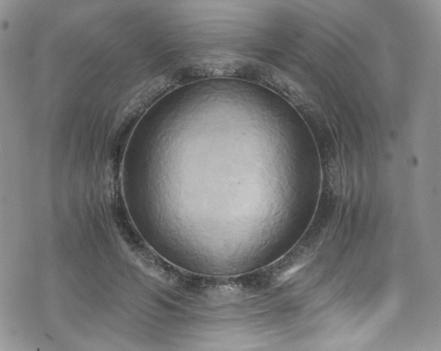 X0000076230594200609281114