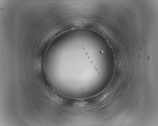 X0000076230595200609281114