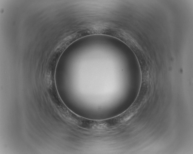 X0000076230599200609281114