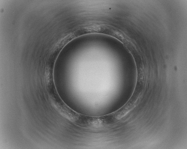 X0000076230600200609281114