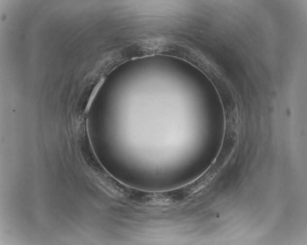 X0000076230601200609281114