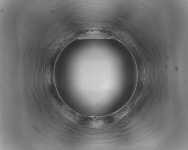 X0000076230604200609281114