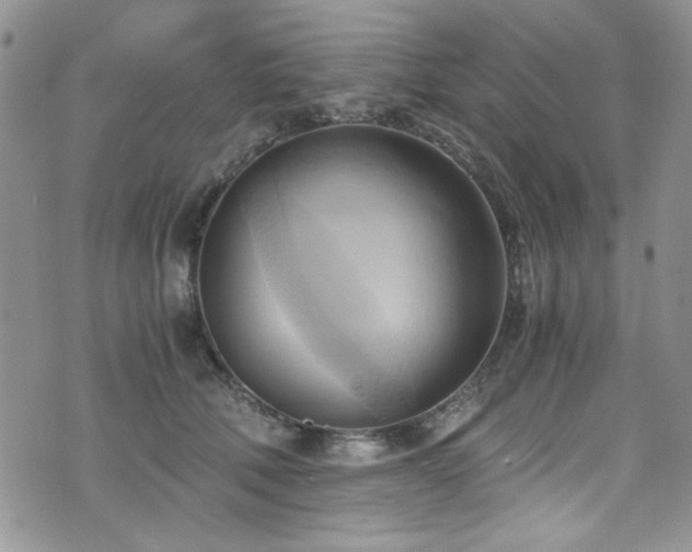 X0000076230610200609281114