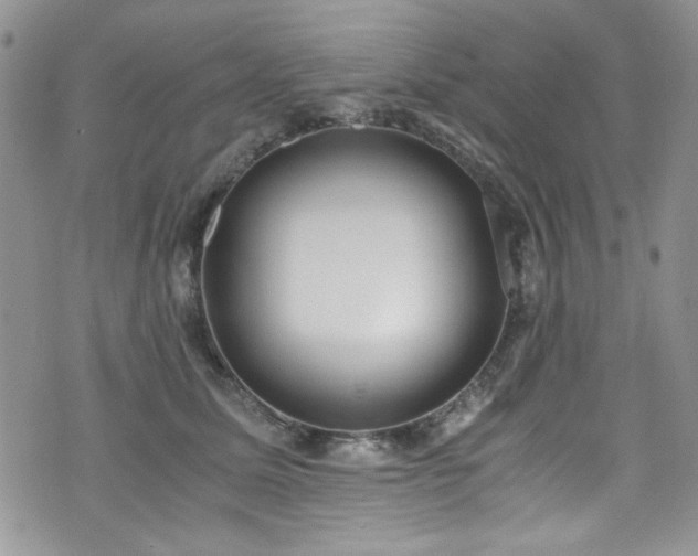 X0000076230611200609281114