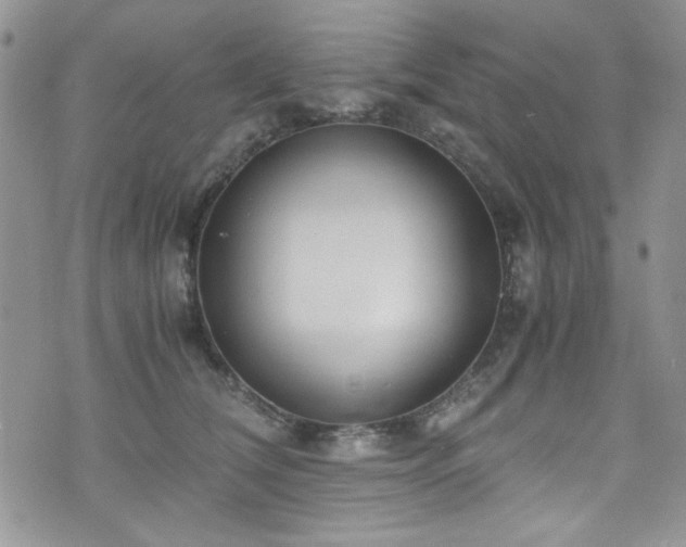 X0000076230612200609281114