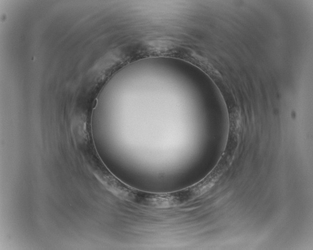 X0000076230615200609281114