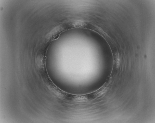 X0000076230619200609281114